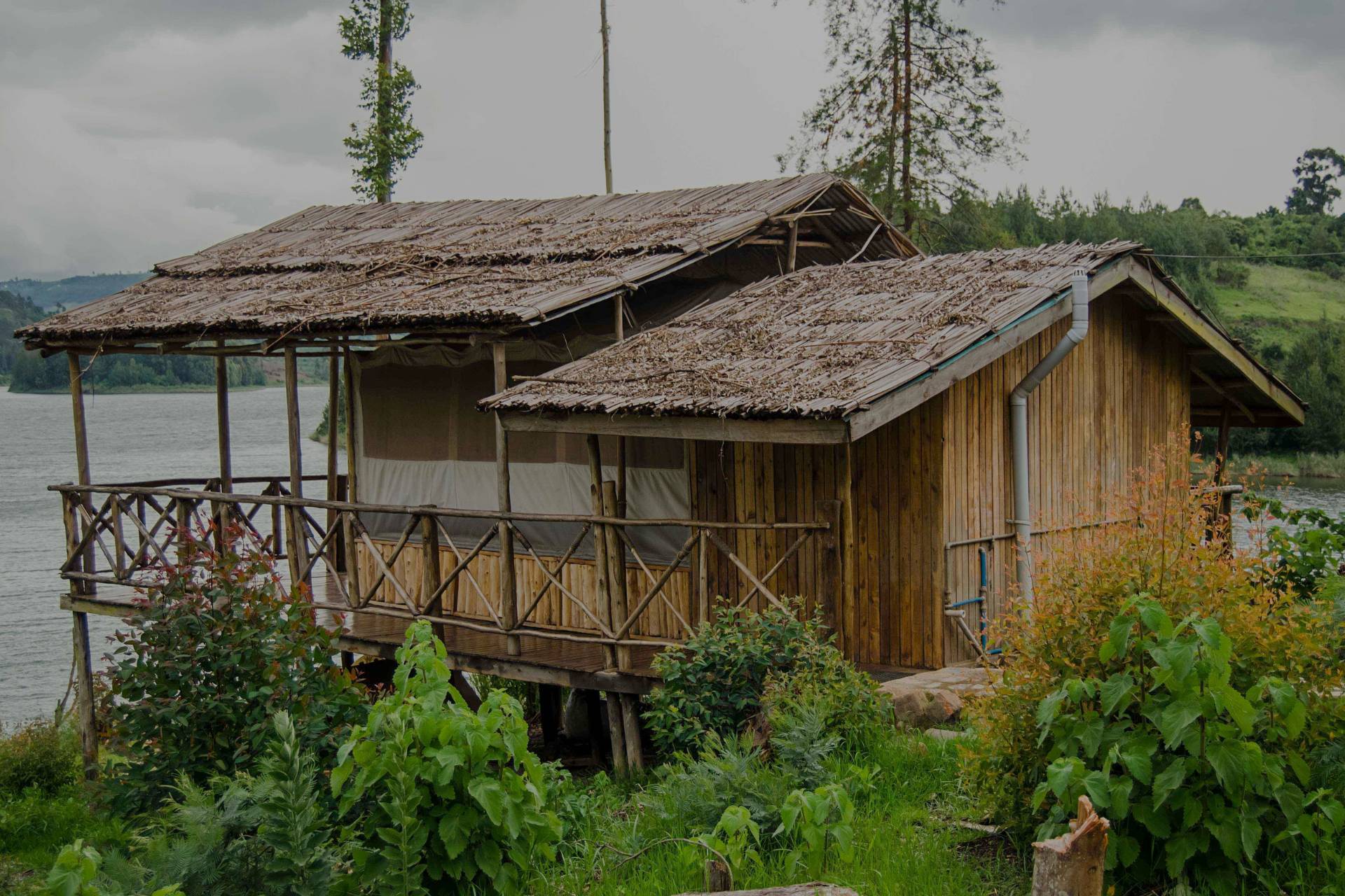 Shaija Tent